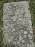 image of grave number 536026